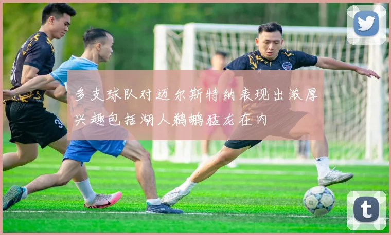 多支球队对迈尔斯特纳表现出浓厚兴趣包括湖人鹈鹕猛龙在内