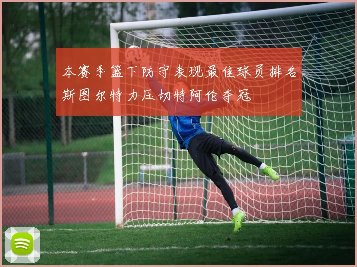 本赛季篮下防守表现最佳球员排名斯图尔特力压切特阿伦夺冠